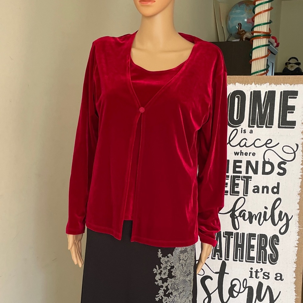 Red Velvet Long Sleeves Top Size Medium